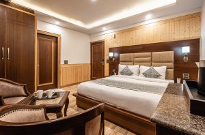 luxury hotels in leh ladakh - deluxe room