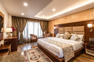 5 star hotels in leh ladakh - super deluxe room